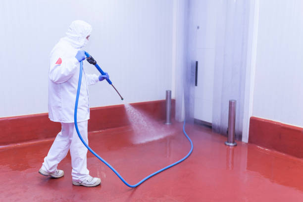 Best Graffiti Removal  in Glens Falls North, NY